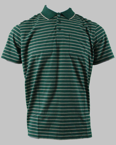 Roberto Jeans Polo shirt - Støvet grøn